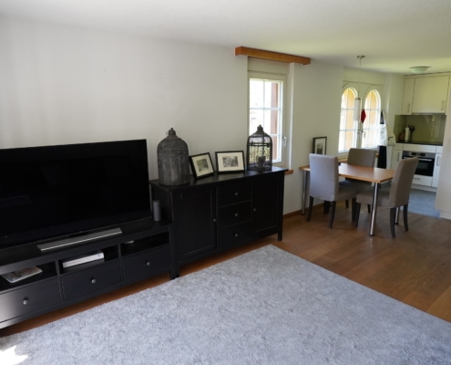 Vira 2 ZI-Wohnung (16)